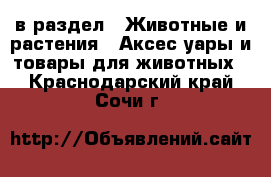  в раздел : Животные и растения » Аксесcуары и товары для животных . Краснодарский край,Сочи г.